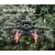 50CAL DJI Mavic 3 Spider landingsgestel  38mm (grijs)