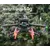 50CAL DJI Mavic 3 Spider Fahrwerk 38mm (grau)