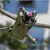 50CAL DJI Mini 4 PRO 4-mix Lens Filter MCUV+CPL+ND-32-64