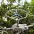 50CAL Integrated Propeller Guard voor DJI Mini 4 Pro