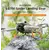 50CAL Landing Gear for DJI Mini 4 Pro - Raised Spider Landing Gear